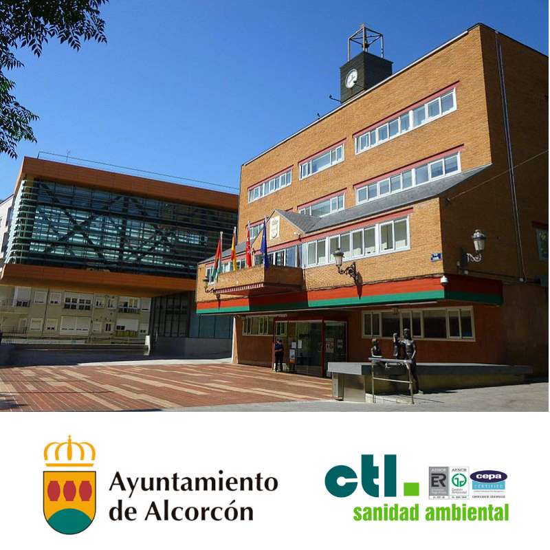 CTL Sanidad Ambiental resulta adjudicataria de Control de Plagas en dependencias y edificios municipales de Alarcón.